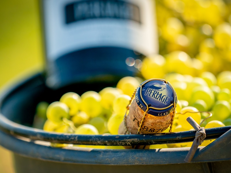 Perlage Winery, un vino che sa di sostenibilità Perlage Winery, un vino che sa di sostenibilità